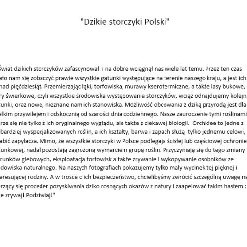 Monika i Jarek Malkowscy DZIKIE STORCZYKI