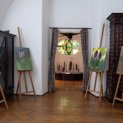 Monika i Jarek Malkowscy ORCHIDS