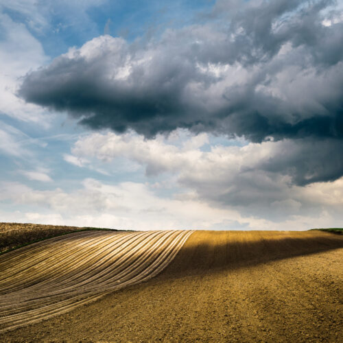 Krzysztof Ziemba – Architektura krajobrazu