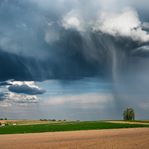 Krzysztof Ziemba – Architektura krajobrazu