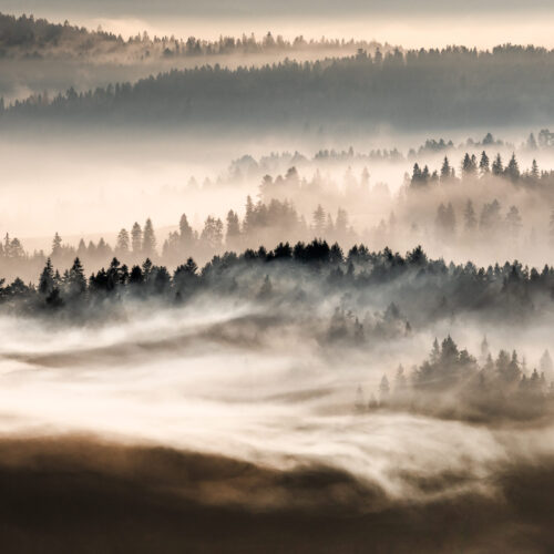 Krzysztof Ziemba – Architektura krajobrazu