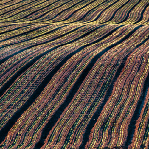 Krzysztof Ziemba – Architektura krajobrazu