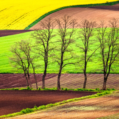 Krzysztof Ziemba – Architektura krajobrazu