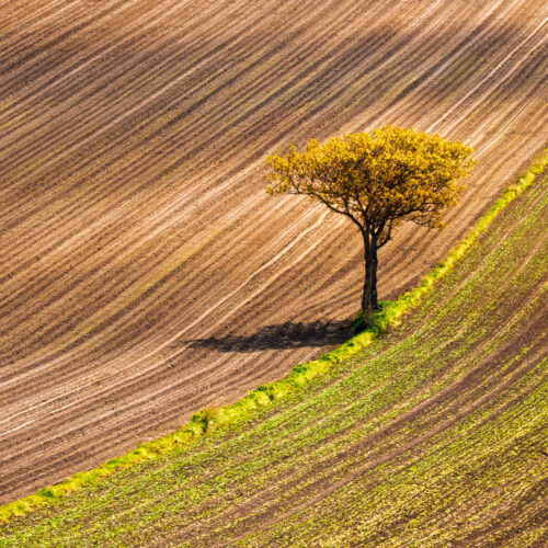 Krzysztof Ziemba – Architektura krajobrazu